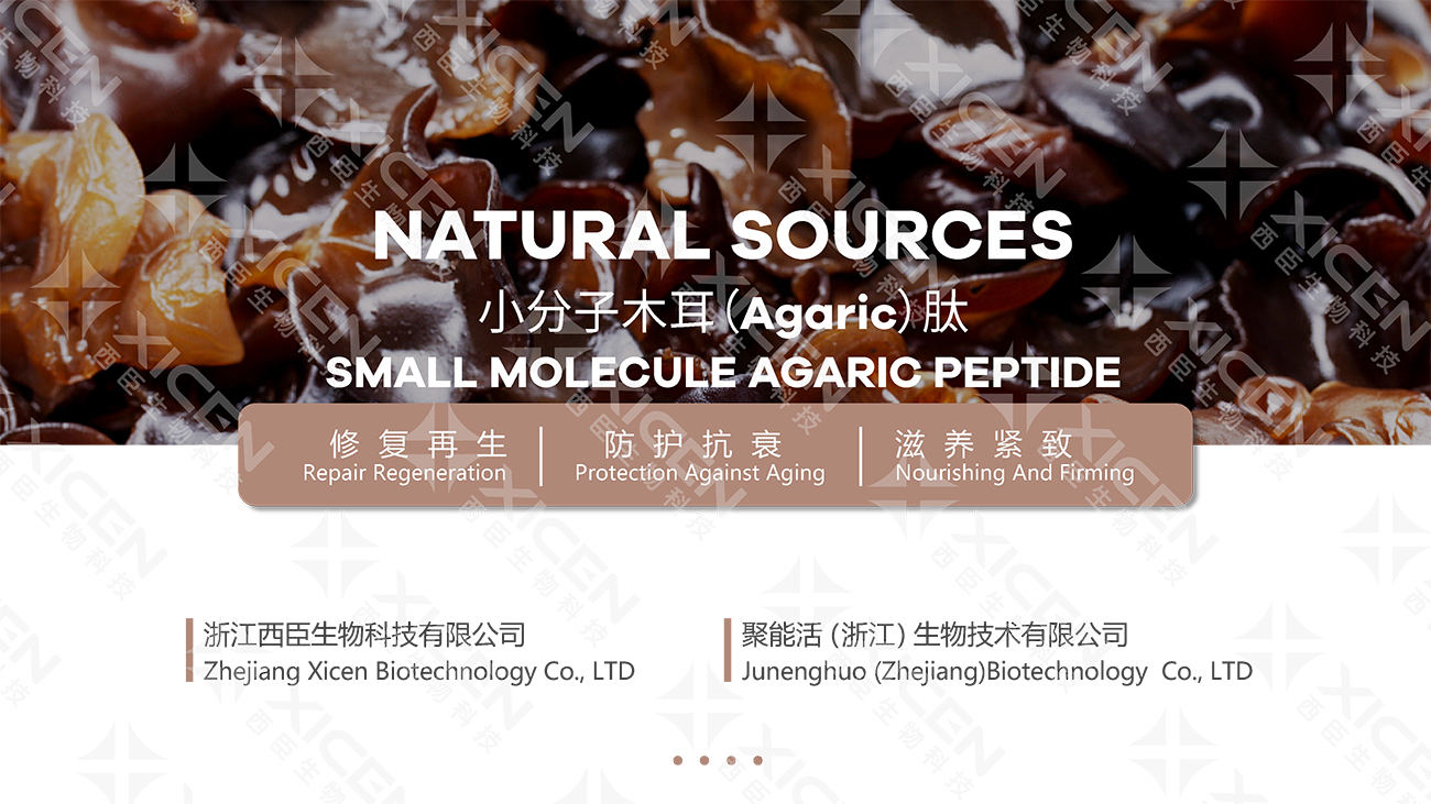 小分子木耳（Agaric）肽-PPT-源文件(1)-1.jpg