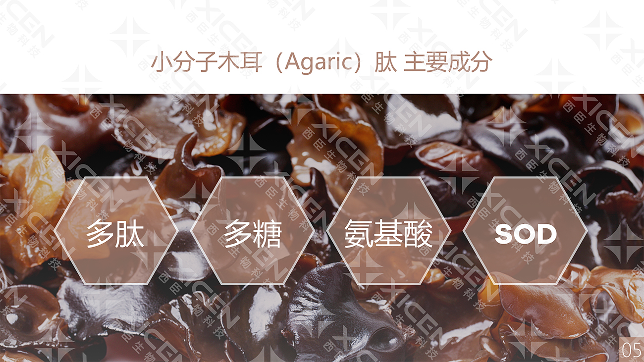 小分子木耳（Agaric）肽-PPT-源文件(1)-7.jpg
