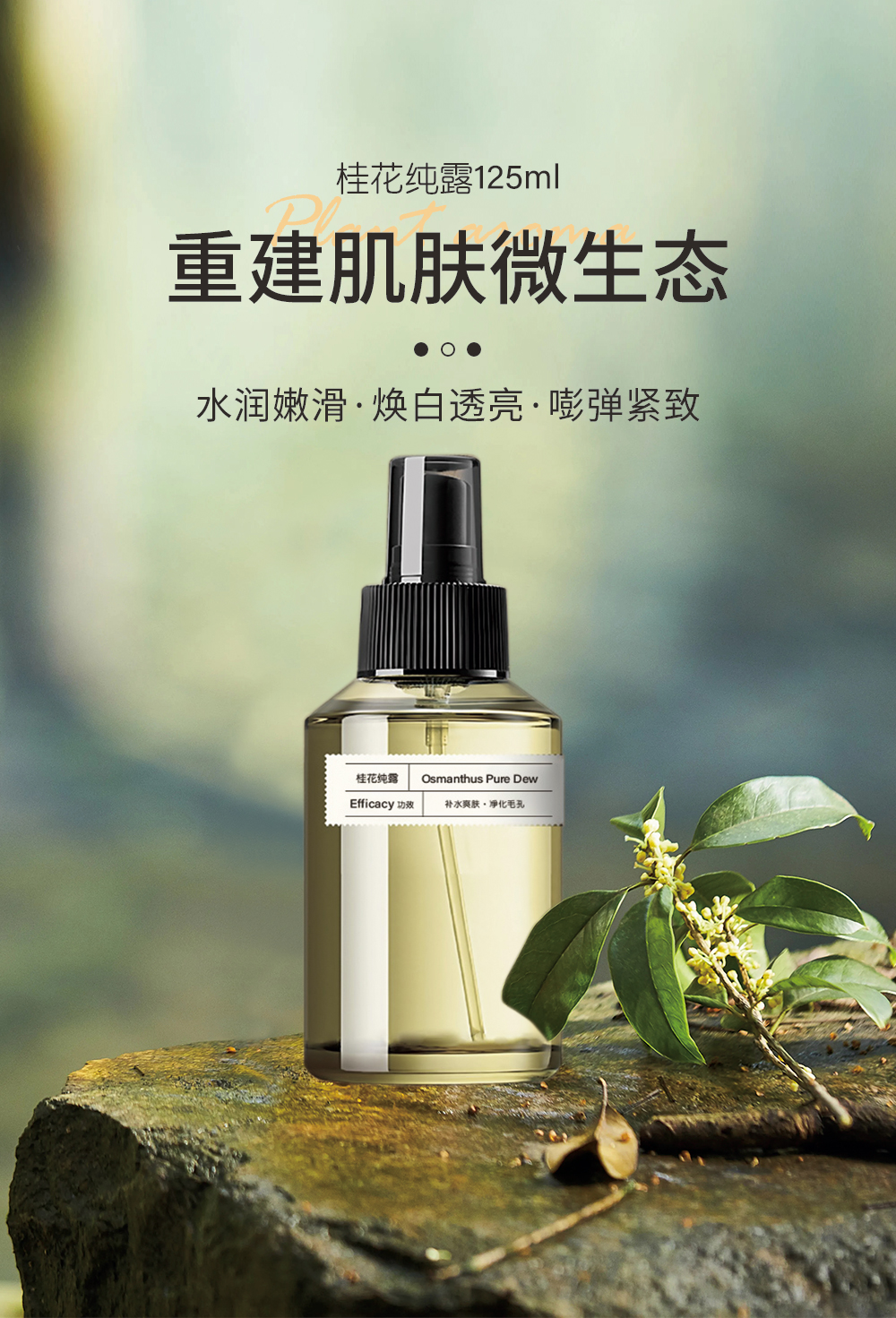 桂花纯露_01.jpg