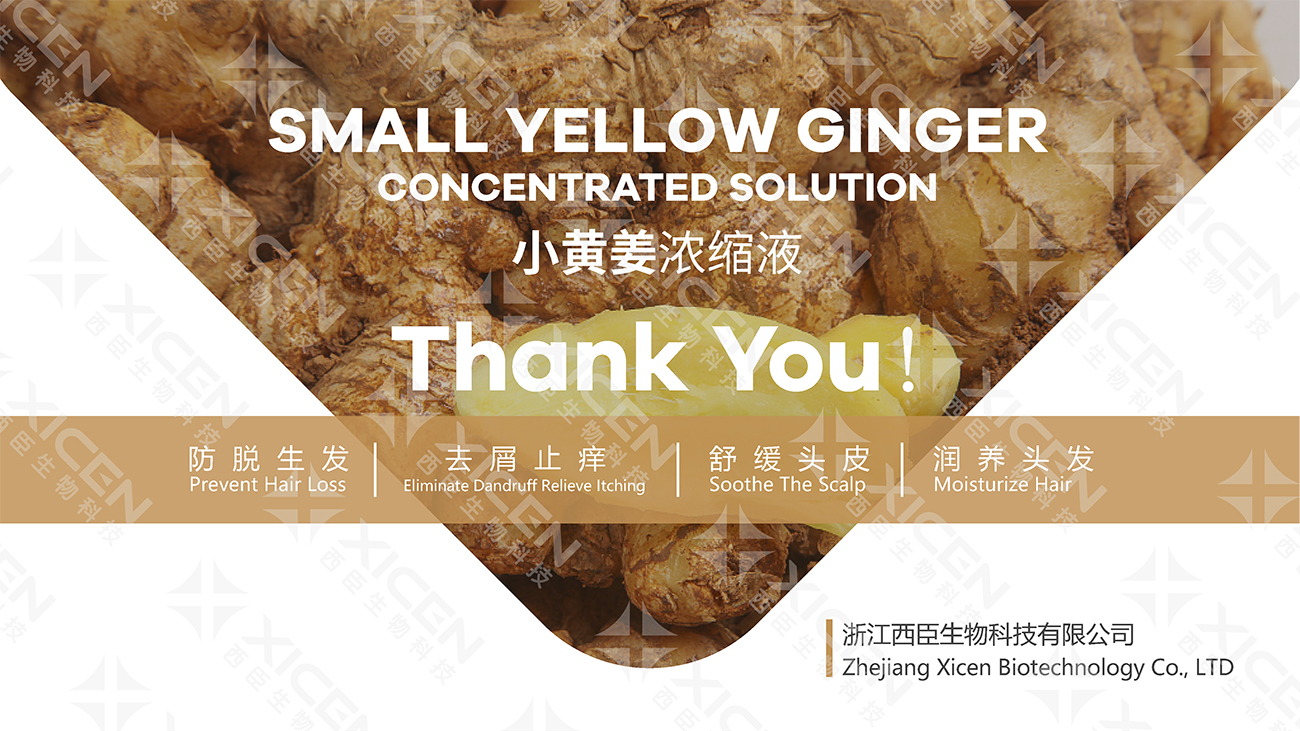 小黄姜浓缩液-9.jpg